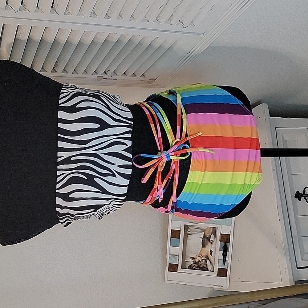 π5/$20 ποΈ Multi-Color Zebra Bikini - Picture 3 of 7